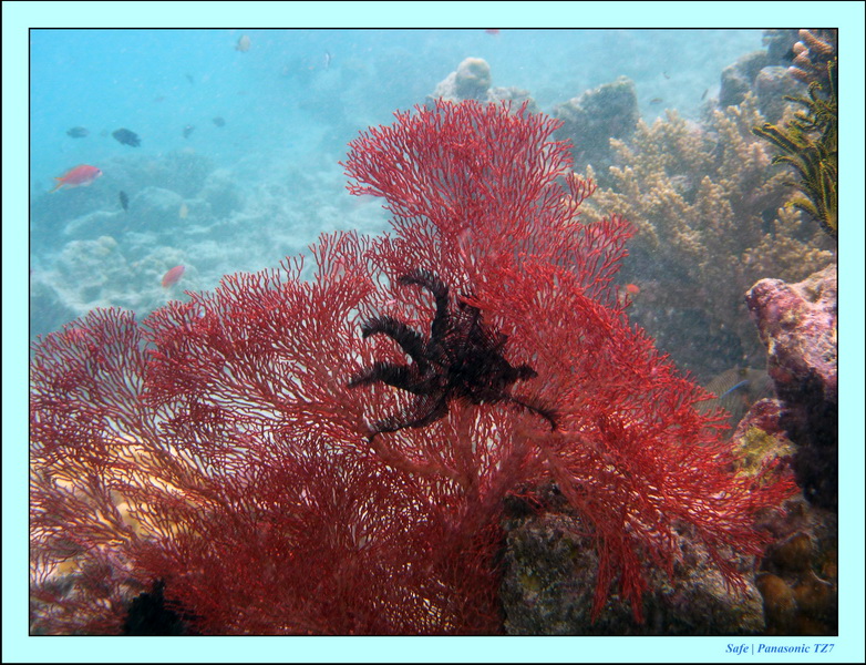 2009   07   Matakin 14